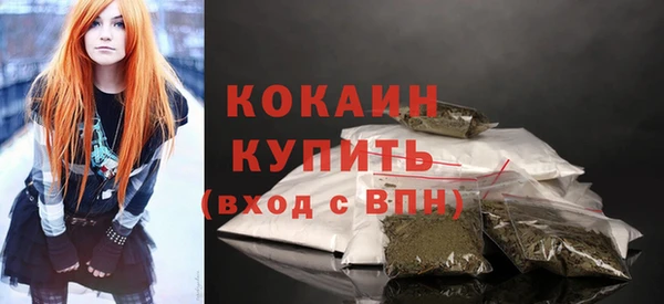 PSILOCYBIN Михайлов