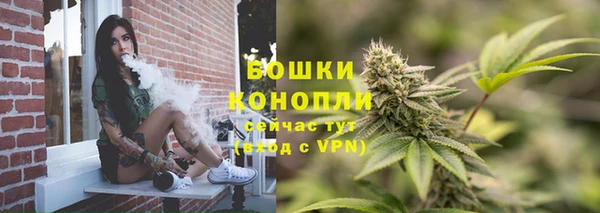 прущие грибы Михайловка