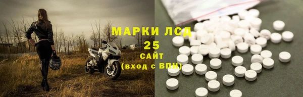 PSILOCYBIN Михайлов