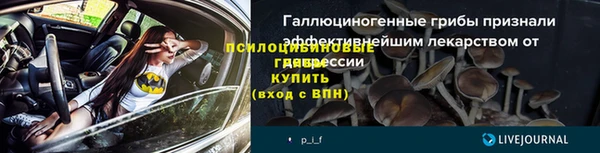 PSILOCYBIN Михайлов