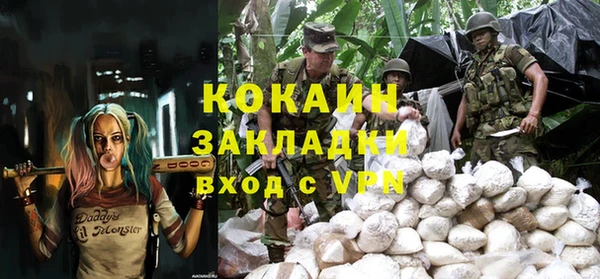 прущие грибы Михайловка