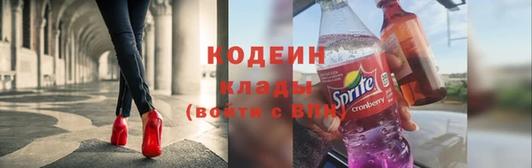 прущие грибы Михайловка