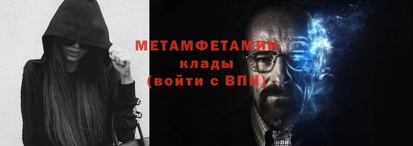 прущие грибы Михайловка