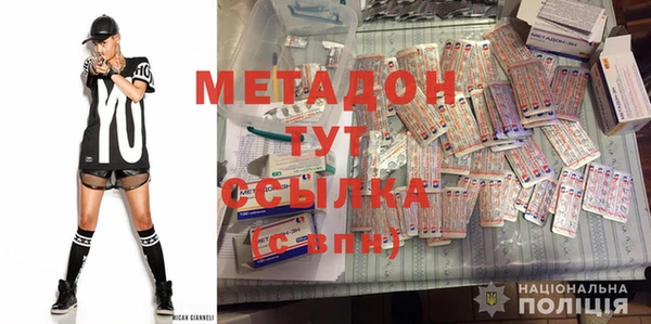 прущие грибы Михайловка