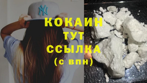 PSILOCYBIN Михайлов