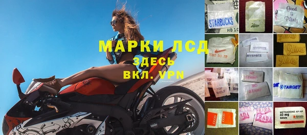 PSILOCYBIN Михайлов