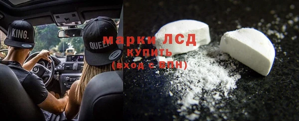 прущие грибы Михайловка