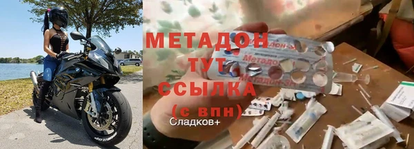 прущие грибы Михайловка
