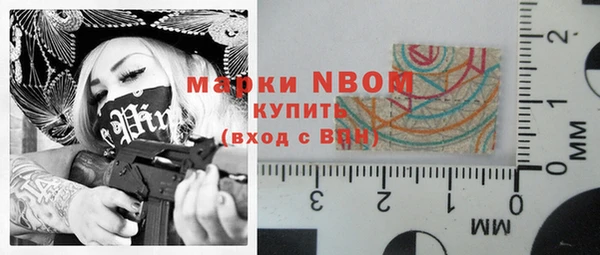 PSILOCYBIN Михайлов