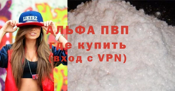PSILOCYBIN Михайлов