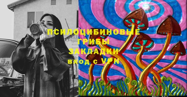 PSILOCYBIN Михайлов