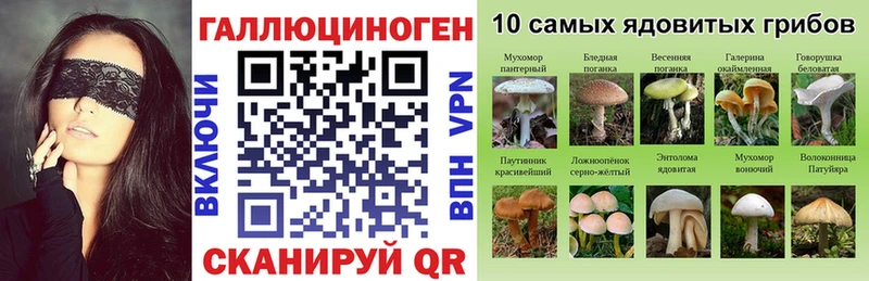 kraken онион  Нахабино  Галлюциногенные грибы мицелий 